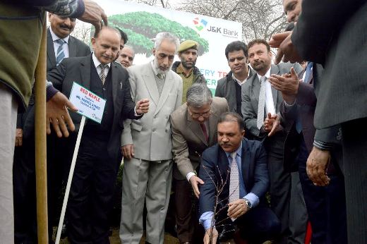 J&K Bank observes World Arbor day across valley J&K Bank observes World Arbor day across valley