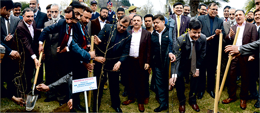 J&K Bank Celebrates World Arbour Day J&K Bank Celebrates World Arbour Day