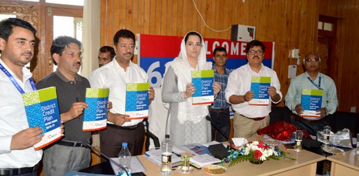 DDC Budgam reviews priority sector lending scenario at DLRC/DCC meetin…