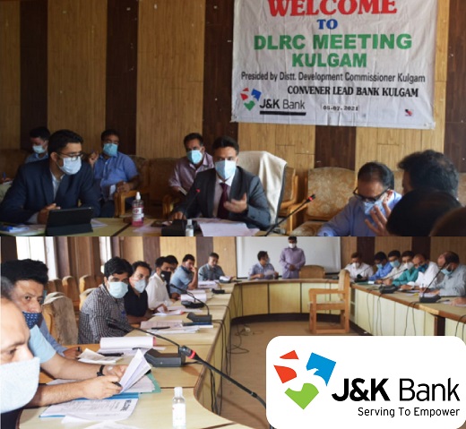 DDC Kulgam chairs DLRC meet DDC Kulgam chairs DLRC meet